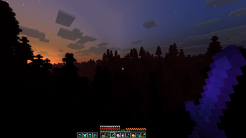 spruce forest
