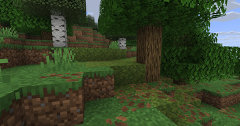 mossy ground?