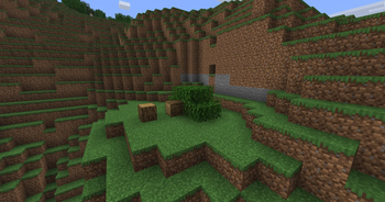 fallen tree