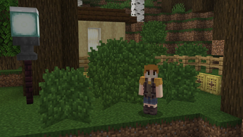 Big Bush