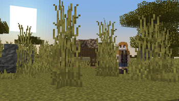 Very Tall Grass