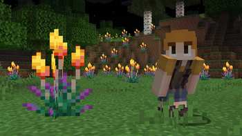 Torchflower Bush