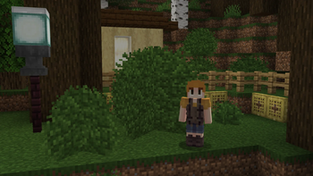 Big Bush