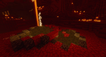 A rare Scorchia geyser in the nether