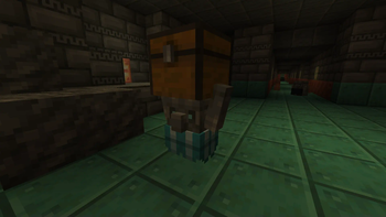 Tuff Golem with Chest