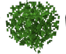 ShaSins Better leaves