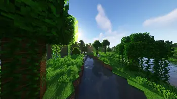 Jungle.