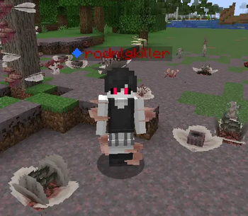New kommandant visuals