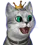 FUJIHOSHI