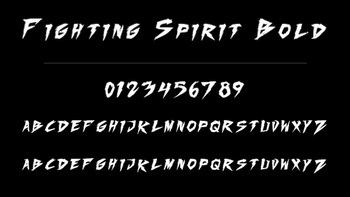 Fighting Spirit Bold Font