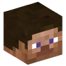 Steve Co.
