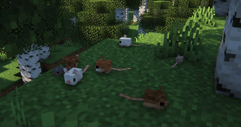 Mice