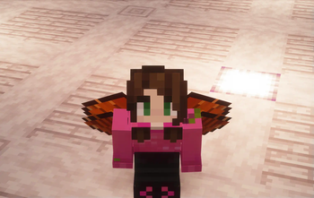 Double-layer wings