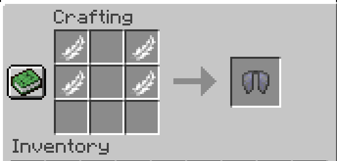 4 Feathers to elytra