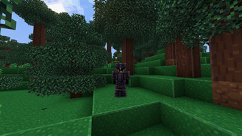 Netherite Armor