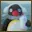 Pingu Paintings Pack