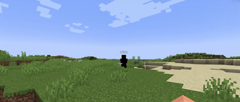 Running Host13