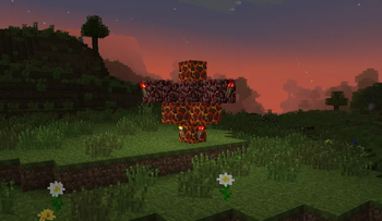 Build202