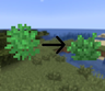 Swapped Biomes O’ Plenty Bush