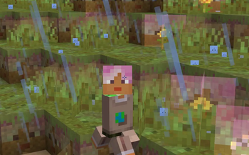 Merl Creeper