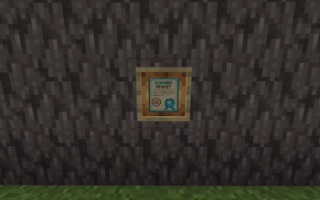 Permit In Item Frame
