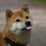 mlem - Mod List Export Maker