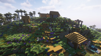 village