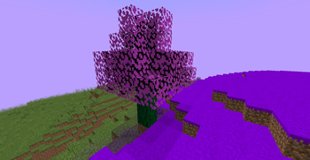 the tree