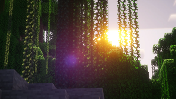 Through the Vines