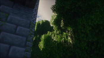 Of Stone and Leaves