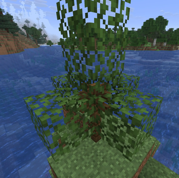 Connects to leaves