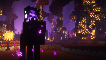 Enderman Overhaul