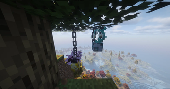 Hanging Flower Pots
