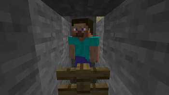 Steve