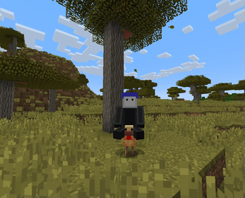 Riding a chicken!
