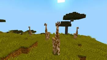 Savvana+ Giraffes