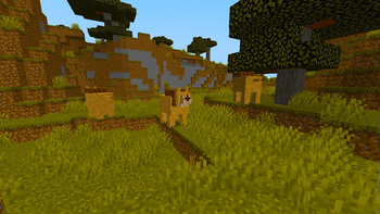 Savvana+ Lions