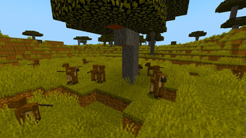 Savvana+ Monkeys