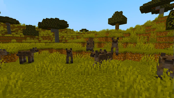 Savvana+ Hyenas