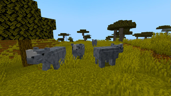 Savvana+ Rhinos