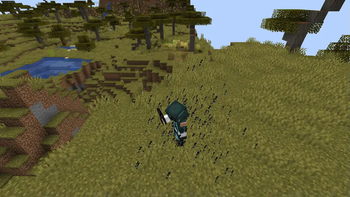 Use Amulet