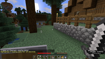 Highlight Pets