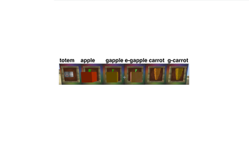 The item models