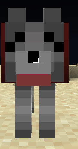 Tamed Dog