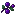 Purple sweet berries