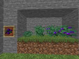 purple berries in the game
