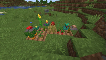 3D Crops