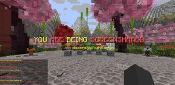 Player Screenshare Interface