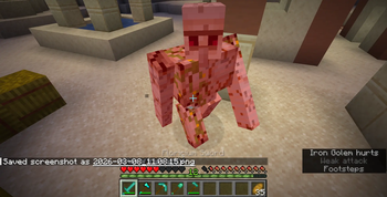 Golem fight