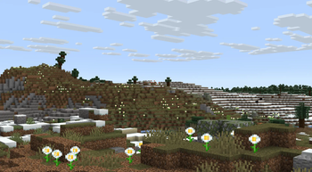Tundra + Cold Shrubland + Gravelly Beach